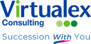 Virtualex Consulting