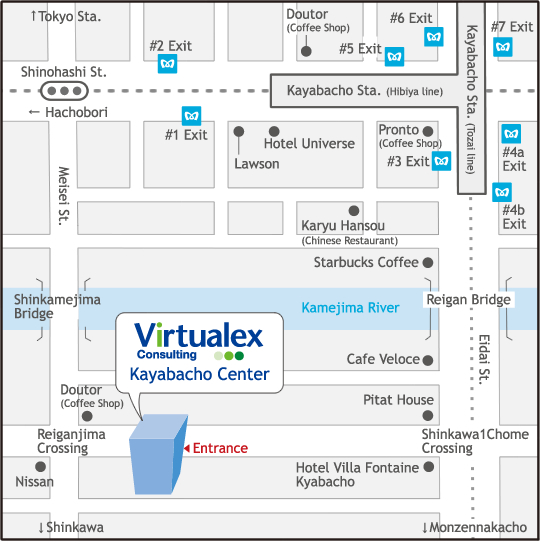 Virtualex consulting Kayabachou Center